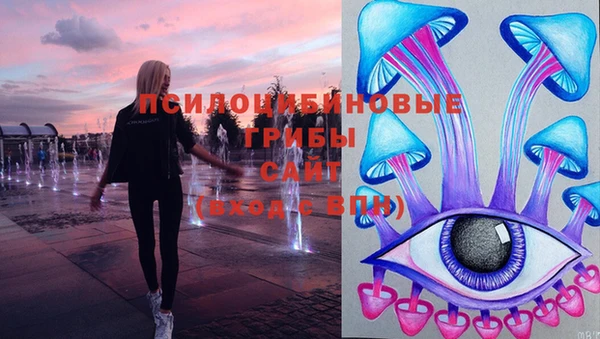 трава Абаза