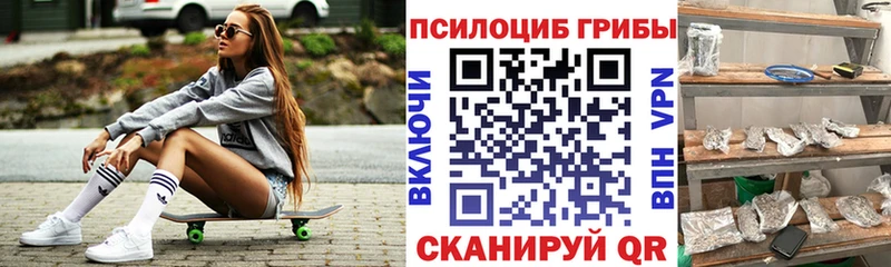 как найти Нерчинск Псилоцибиновые грибы ЛСД
